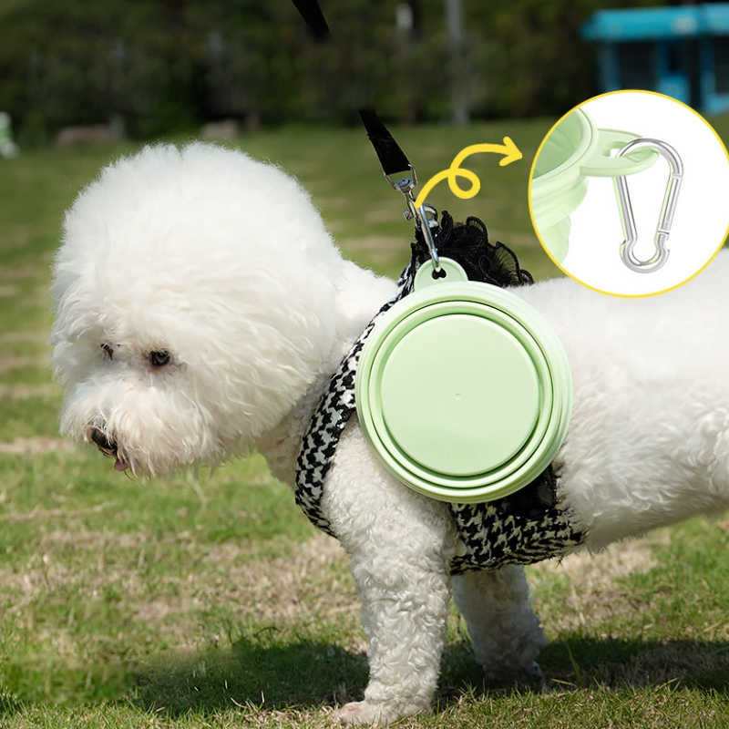 Color Pet Supplies Portable Fo - Pet Supplies Dog Food 评论和价格