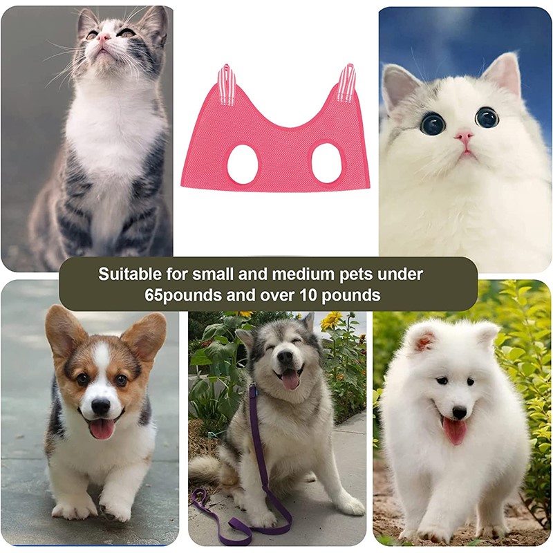 Pet Beauty Hammock Hanging Cat - Pet Supplies Nail Trim 评论和价格